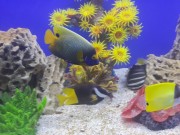 20140628_213649