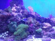 20141215_102812