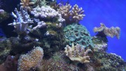 20151004_095138