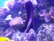 20141101_093620