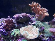 20131028_080426